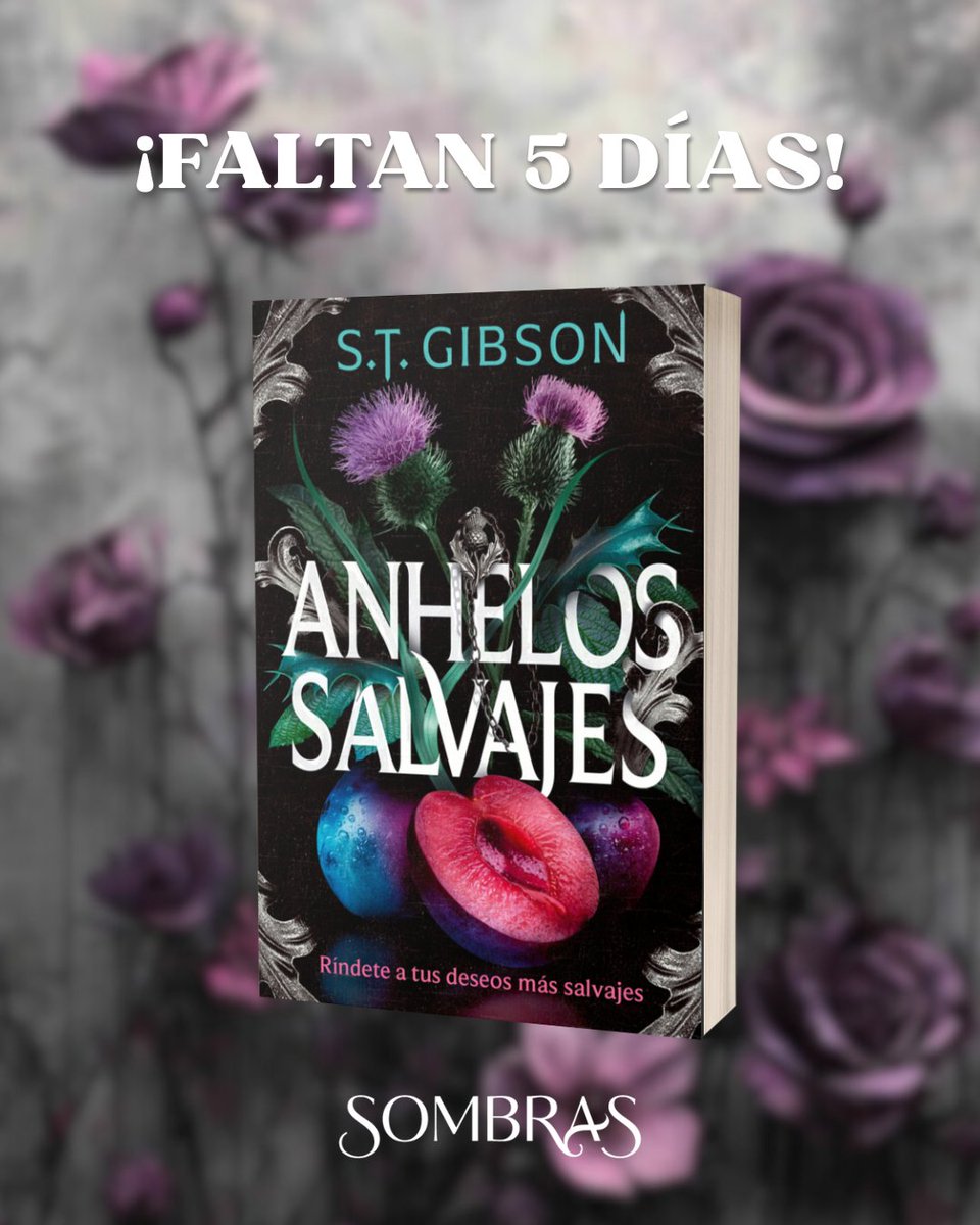 Sombras.ed tweet media