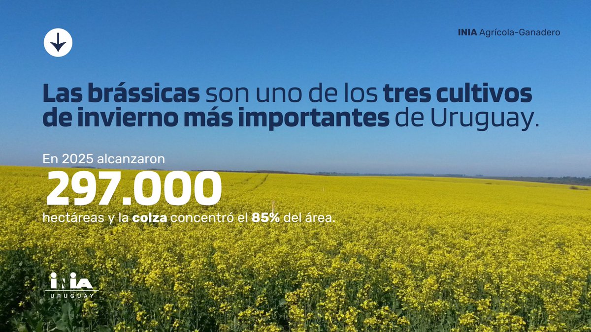 INIA URUGUAY tweet media