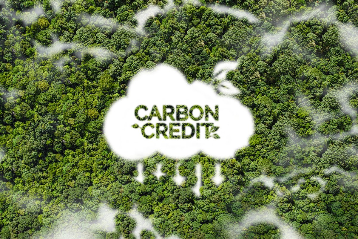 StevenKanane's tweet photo. 🌍 La RDC, avec ses 155M ha de forêts et les tourbières du Bassin du Congo, est une puissance carbone.  Avec la technologie de :contentReference[oaicite:0]{index=0} (blockchain &amp; satellite), elle peut transformer ce potentiel en milliards $ durables.  #RDC #CréditCarbone #Climat https://t.co/N6CN3gXT6v