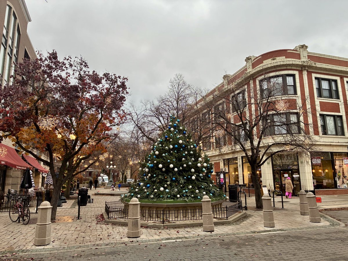 Alicia, Courtyard Urbanist tweet media