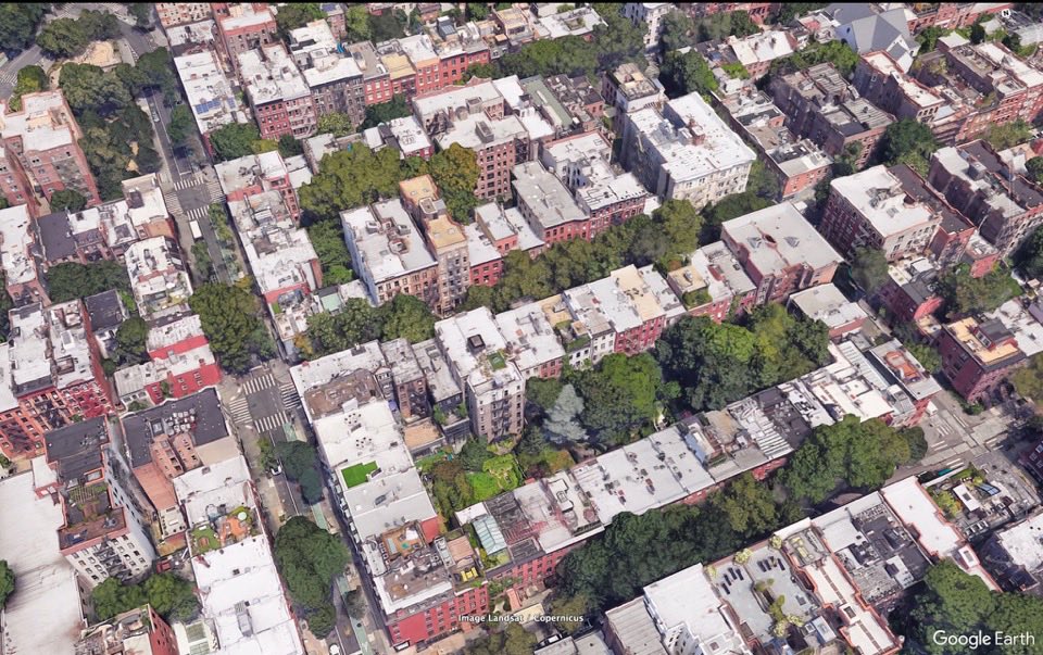 Alicia, Courtyard Urbanist tweet media