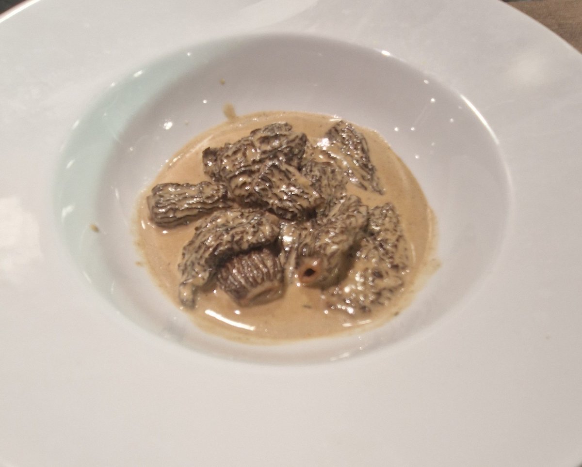 srdeserrano's tweet photo. La felicidad es un jueves en LA CATAPA.
Oricios plenos, colmenillas con foie y unos riñones con su oloroso 😋.
También algo de beber, curiosidades y maravillas.
Viva el vino y viva La Catapa!! #Taberna #LaCatapa #somoscatapistas #Retiro #Madrid @tabernalacatapa https://t.co/bZbS5KX94T