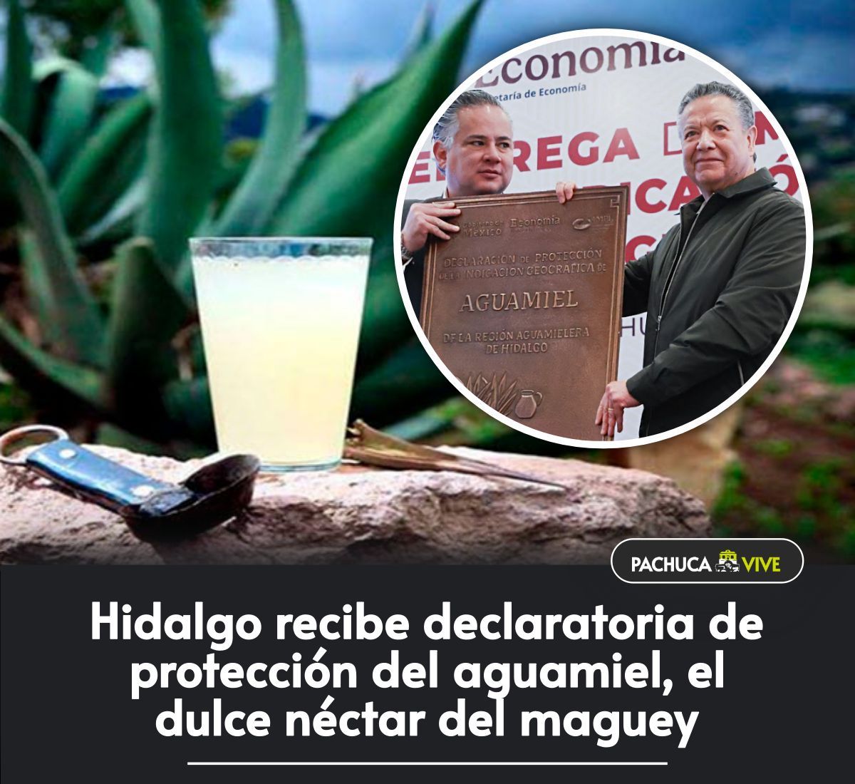 🥛 Hidalgo recibe declaratoria de protección del aguamiel, el dulce néctar del maguey
➟ pachucavive.com/?p=101764