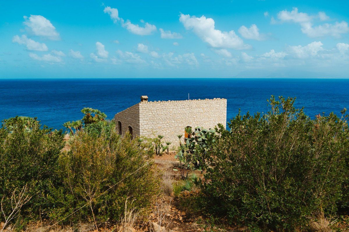 The Fox Magazine tweet media