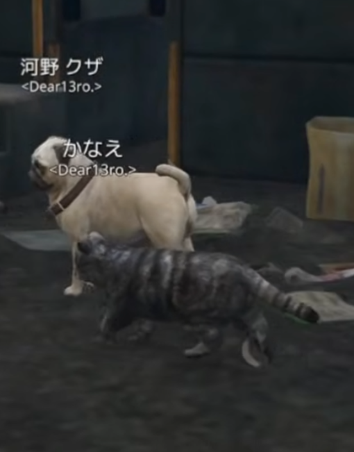 182OZZz's tweet photo. 🐱🖤🐶 https://t.co/eBk3n6f4y1