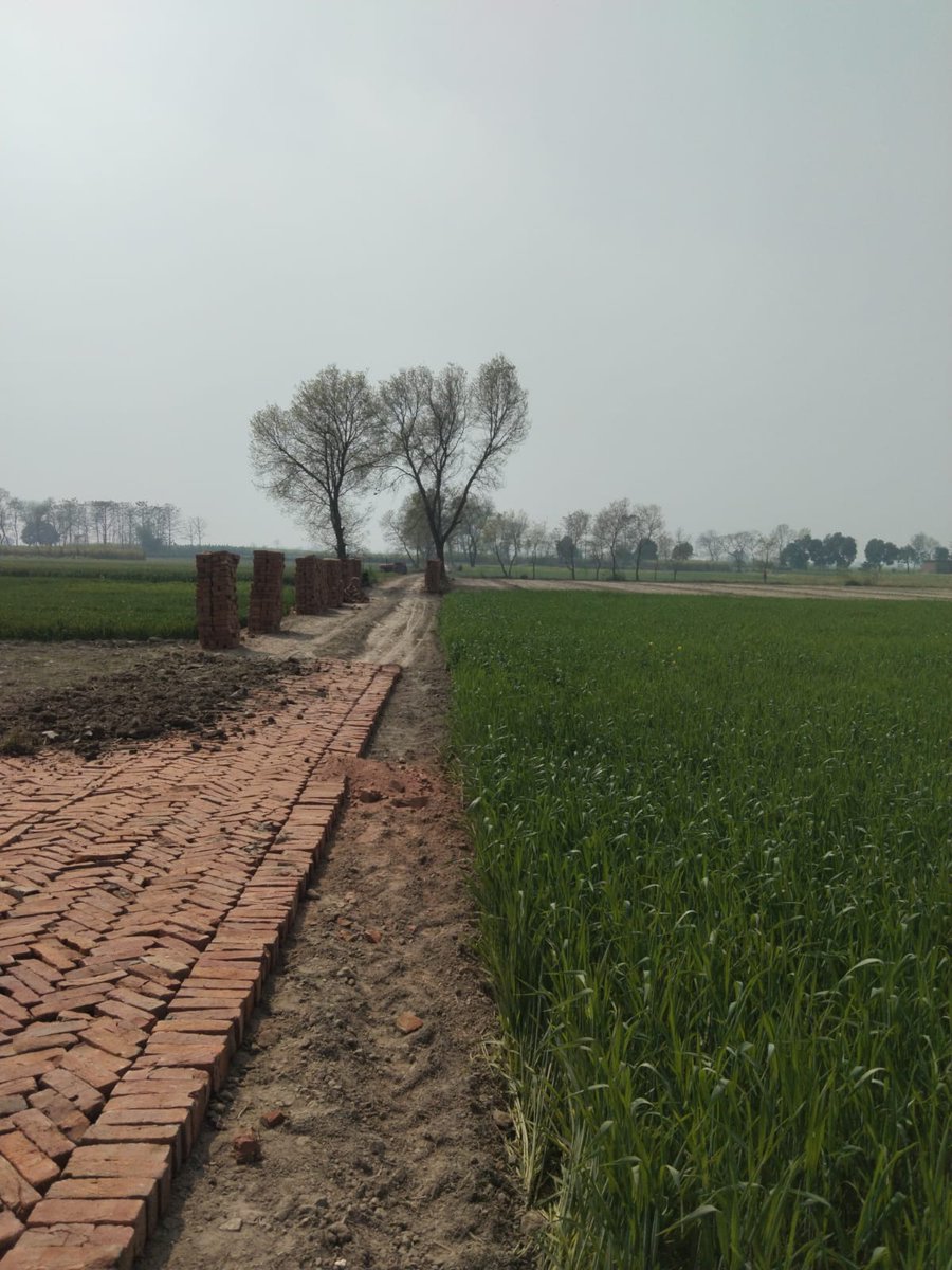 ChaapChu's tweet photo. निघासन ब्लॉक ग्राम पंचायत धरमपुर क्षेत्र टापर फार्म खड़ंजा निर्माण में लगाई जा रही घटिया ईंट,मामूली चोट में ईंट भूसे की तरह बिखर रही है,,
ठेकेदार पर कार्रवाई की मांग
@aajtak 
@CMOfficeUP 
@CdoKheri 
@DMKheri 
@DurgaShaktiIAS 
@narendramodi 
@OfficeOfKPM 
@InfoDeptUP https://t.co/FZBNbucB9W