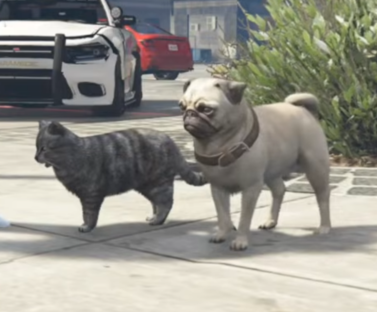 182OZZz's tweet photo. 🐱🖤🐶 https://t.co/eBk3n6f4y1