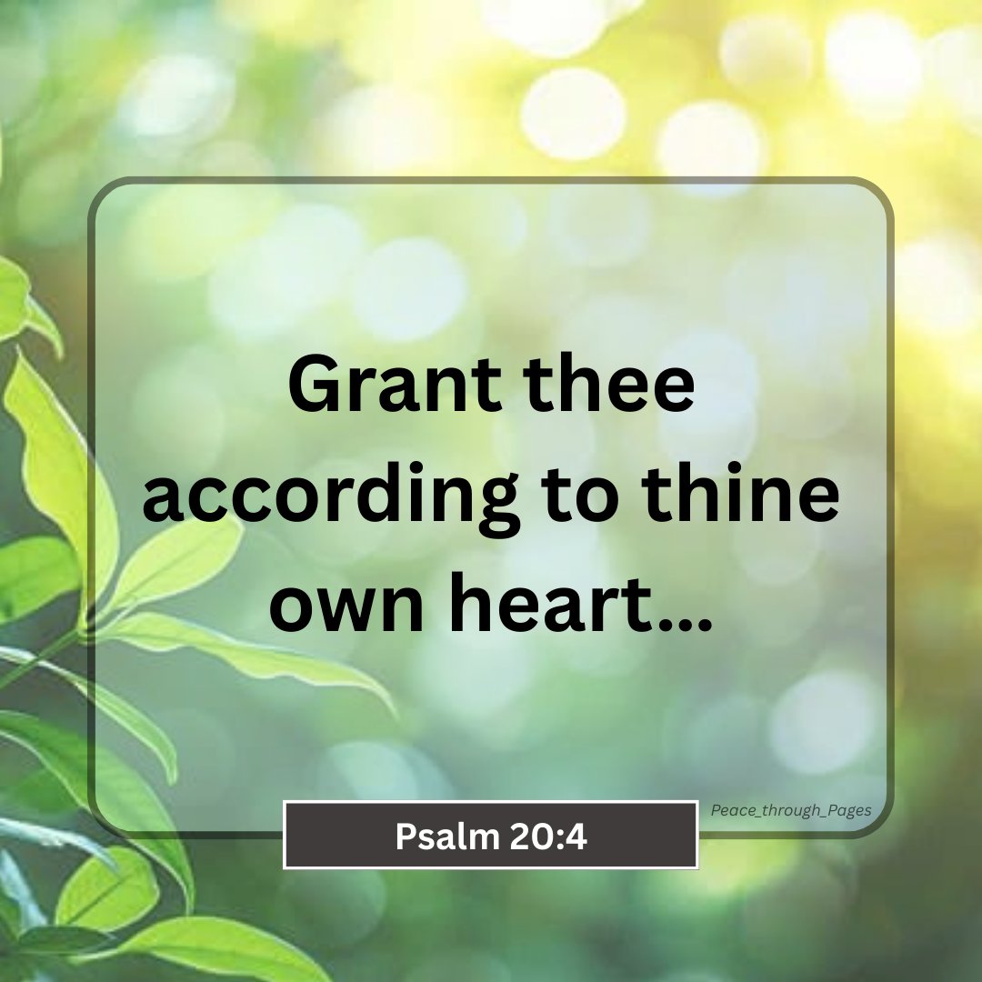 PagesPeace8429's tweet image. ✨ A reminder for today: Grant thee according to thine own heart…
#positivity #dailytruth #growth #mindset #faithjourney #motivation #strength