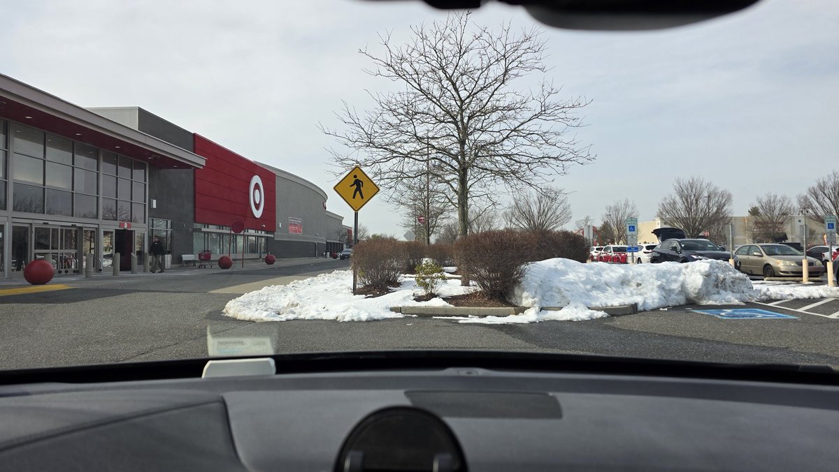 Shannon Stout tweet media