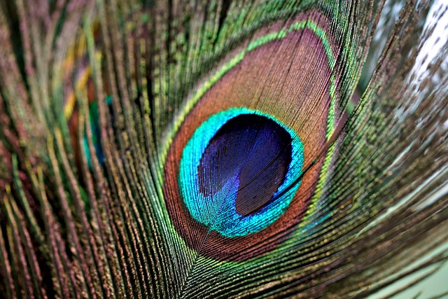 Jessica Hamilton tweet media