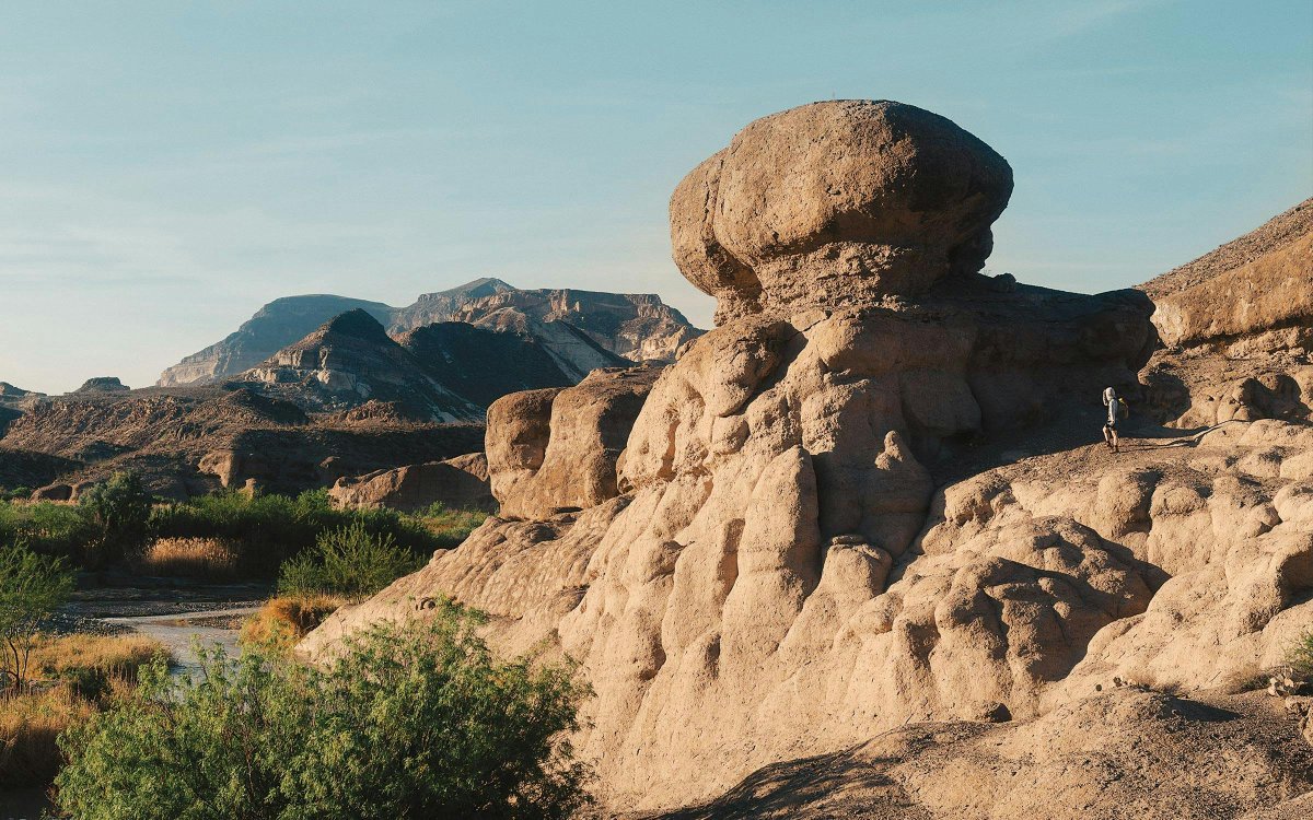 Techno Fog tweet media