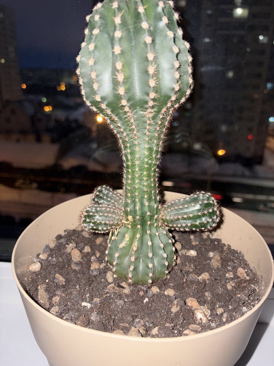 Boomp1e.eth tweet media