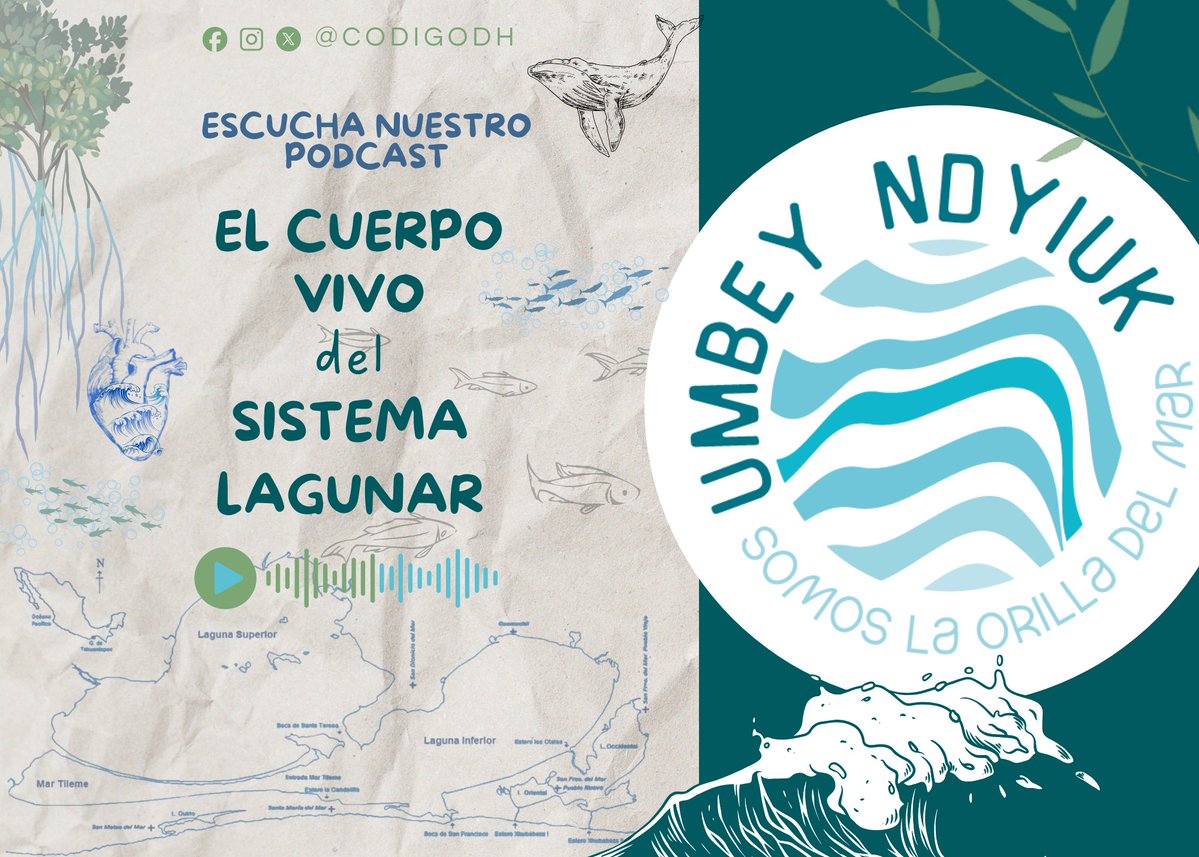 Codigo DH tweet media