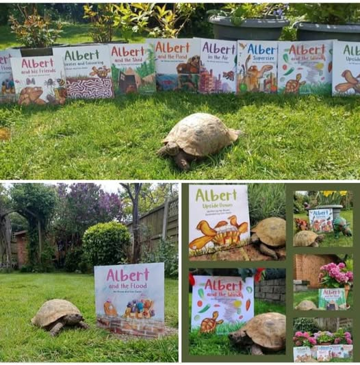 AlbertTortoise's tweet image. He inspired them. He's front and centre to help #promote them. Real #ALBERTthetortoise with ALBERT #books. #AvailableNow 9 #ALBERT #picturebooks, 3 #BoardBooks &amp;amp; #ActivityBook Alberttortoise.com
#tortoise #bookseries #storytime #illustrations #gardenanimals #earlyreaders