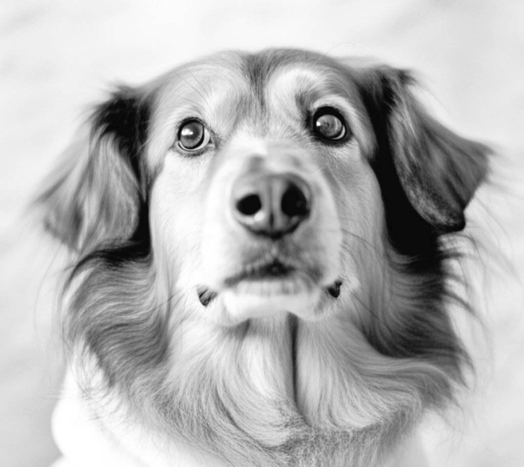 Richard de Hollander... kijk mijn livestreams ;-) tweet media