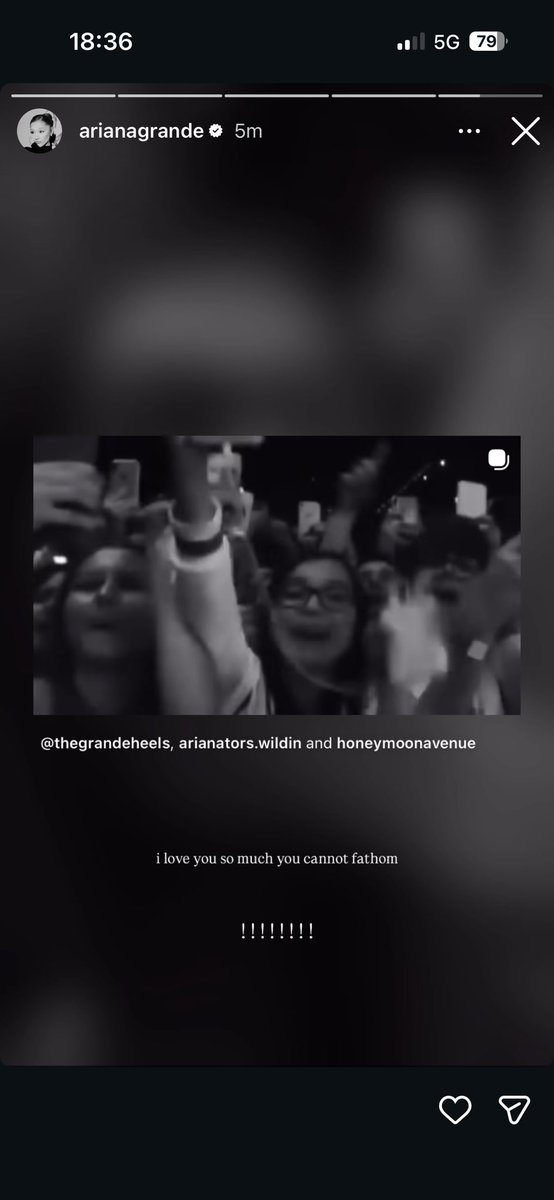 martina ⭐️ tweet media