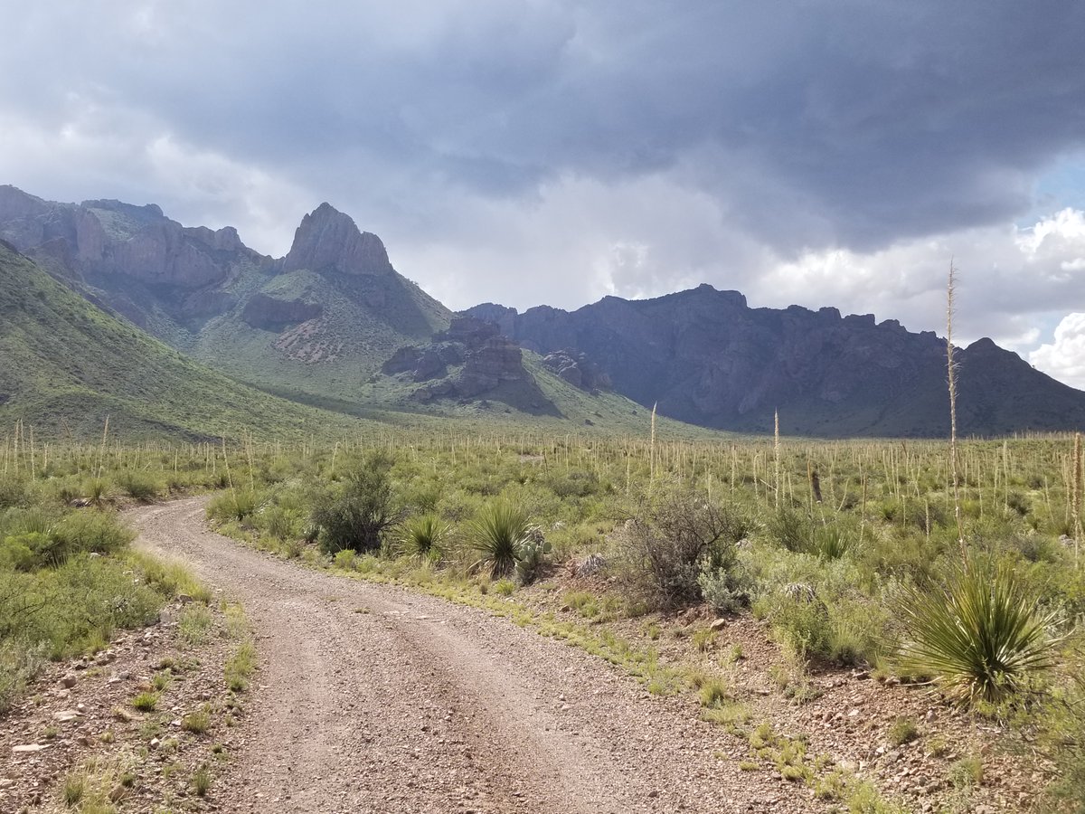 Techno Fog tweet media