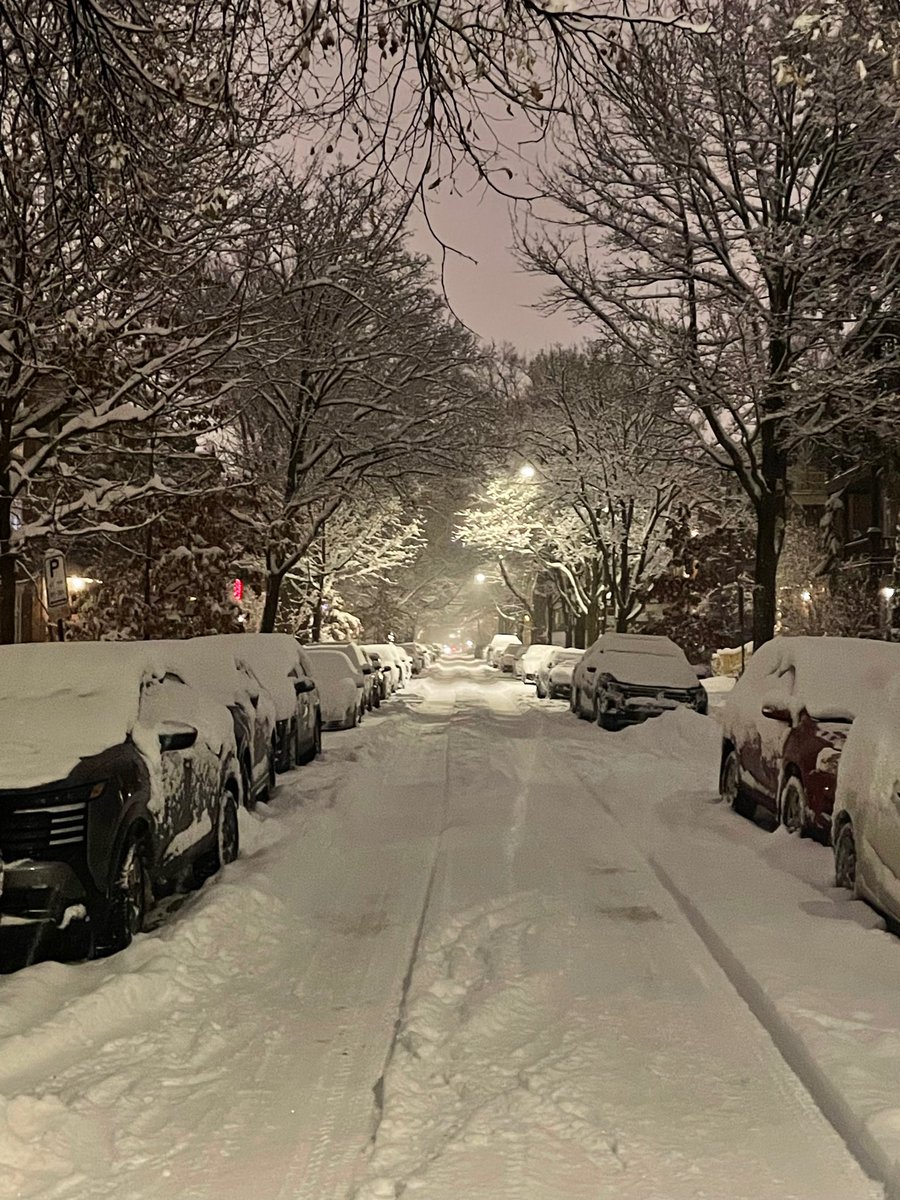 C. Tremblay tweet media