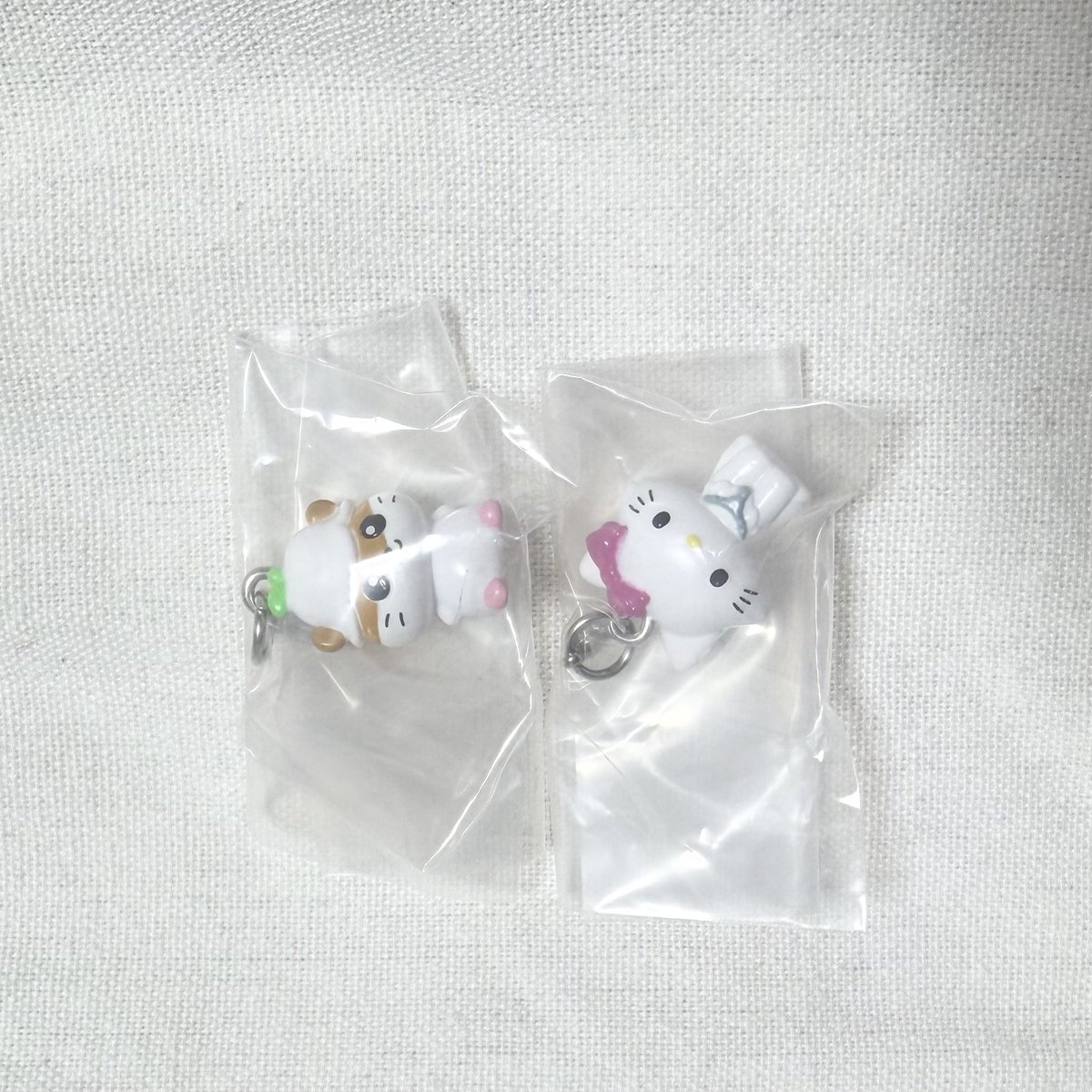 ちず《こうかん》 tweet media