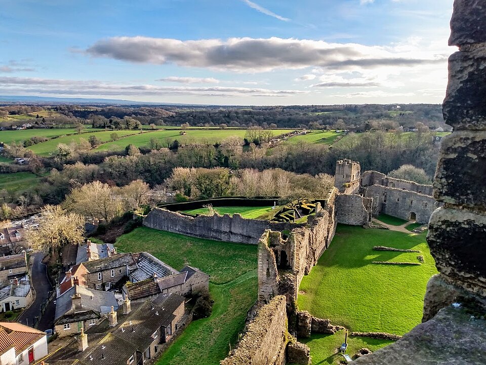 David Castleton (Author) tweet media