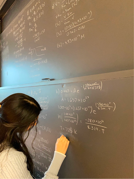 Selin Kocalar tweet media