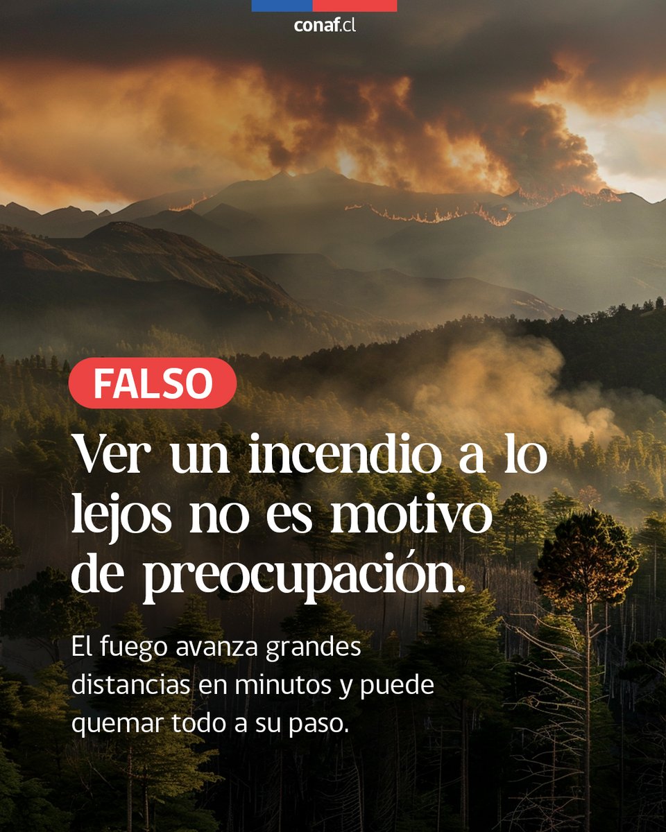 CONAF - Corporación Nacional Forestal tweet media