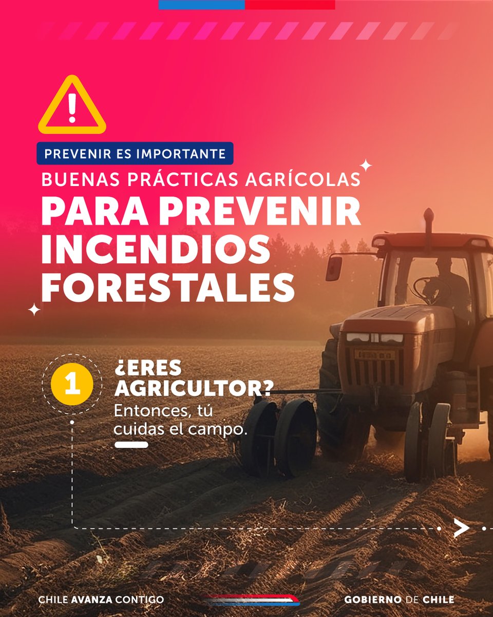 CONAF - Corporación Nacional Forestal tweet media