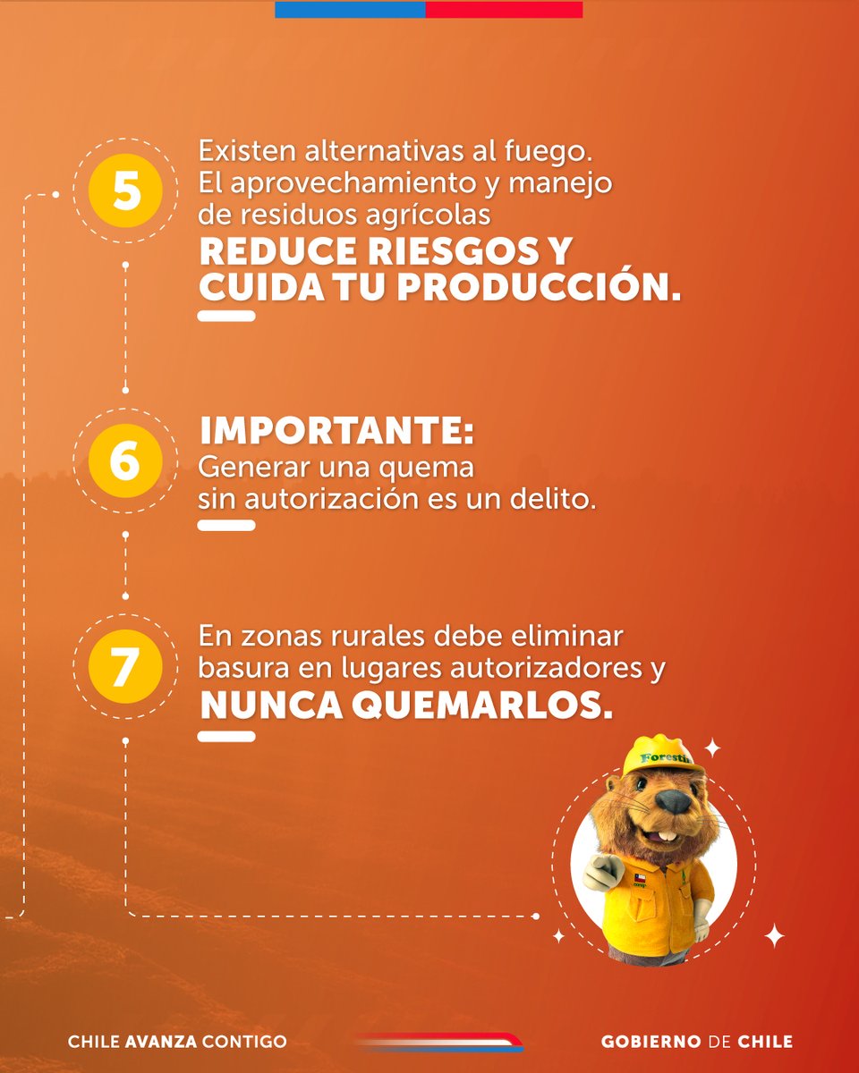 CONAF - Corporación Nacional Forestal tweet media