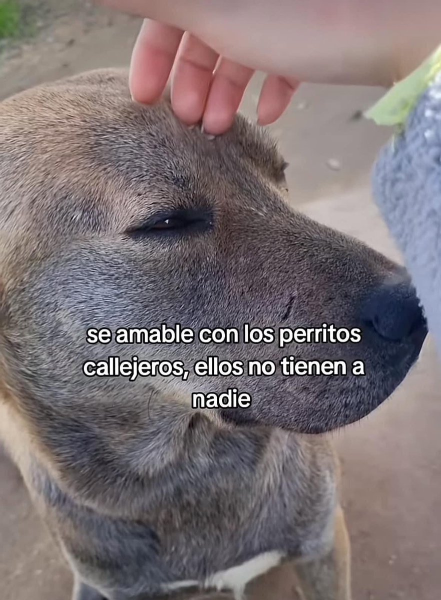 🇲🇽 México Mágico ✨ (@enmexicomagico) on Twitter photo 