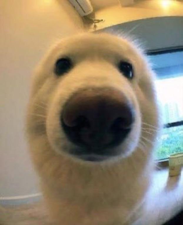 Reso Tap tweet media