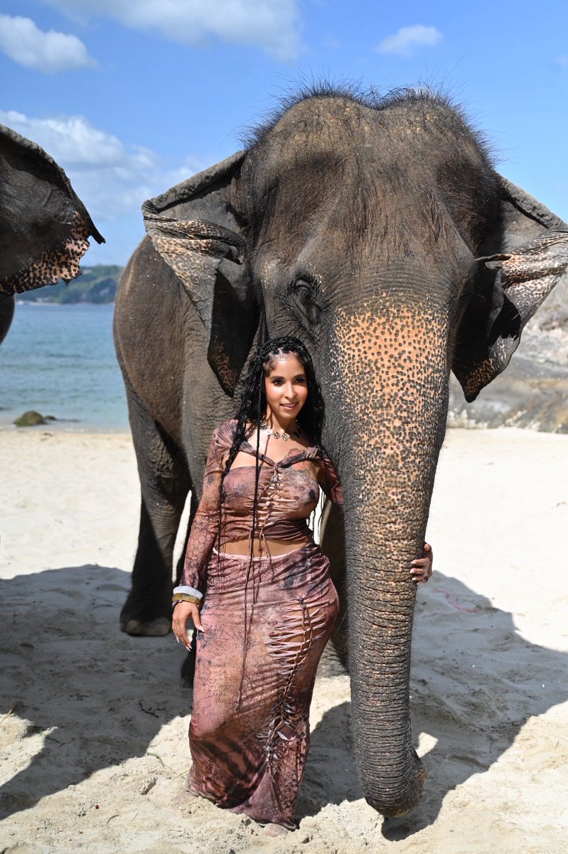 Desana88's tweet photo. 🐘🤍 https://t.co/oT5Qeq4PNW