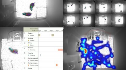 Noldus IT tweet media