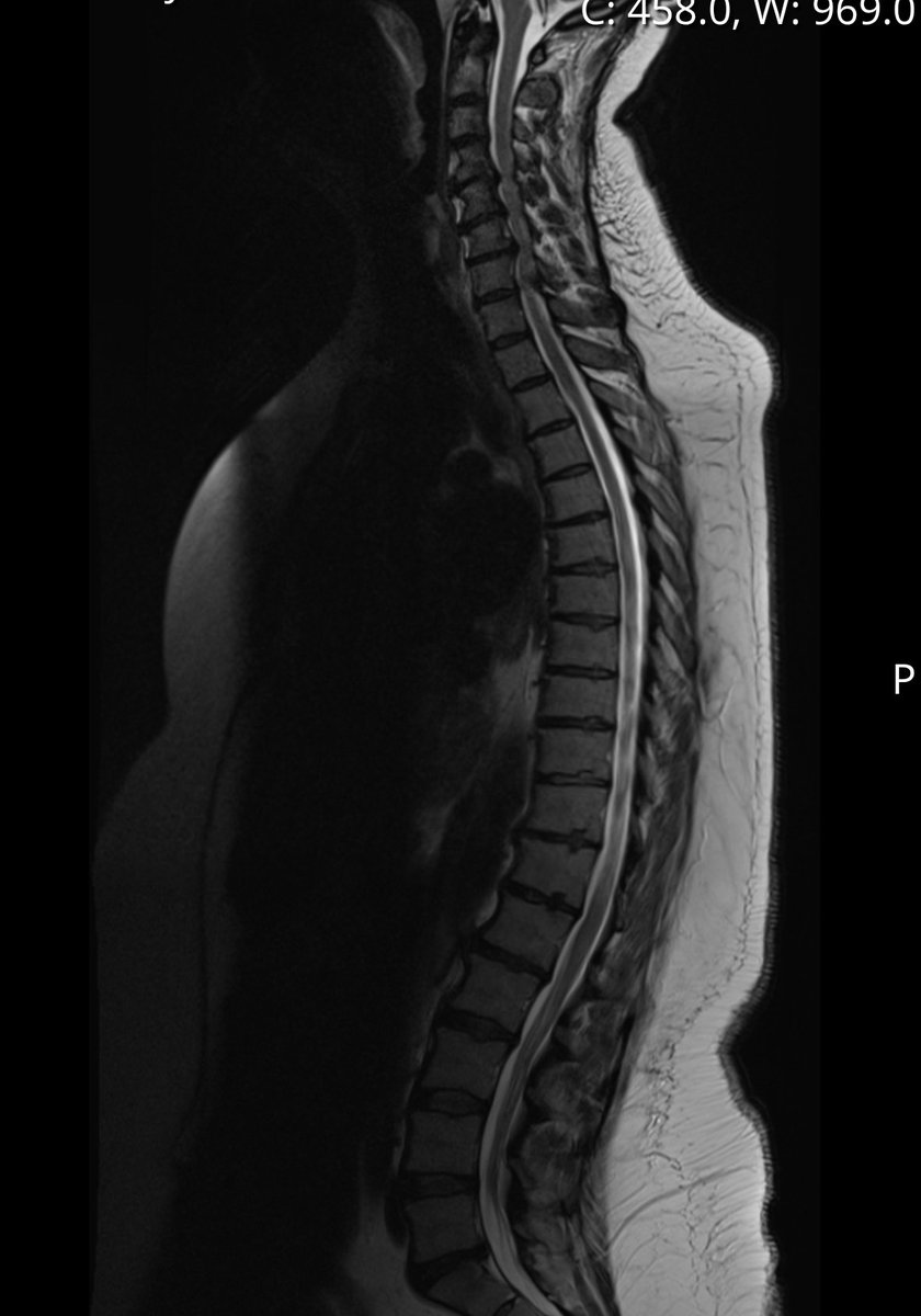 Tanya D R 💜 tweet media