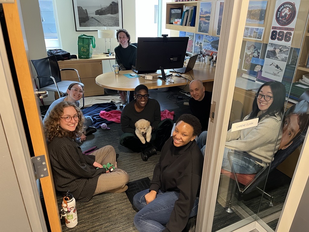 DogsOfKFF tweet media