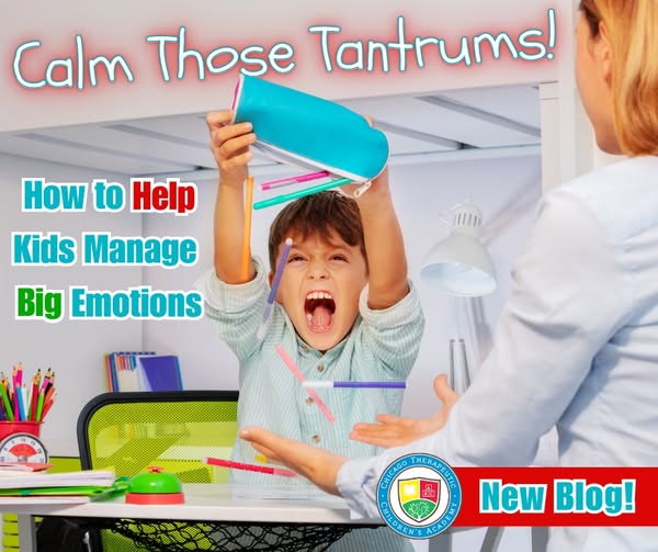 Chicago Therapeutic Children's Academy tweet media