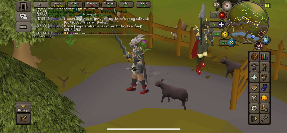 Tremendous pet. Can’t wait to see where our adventures take us.