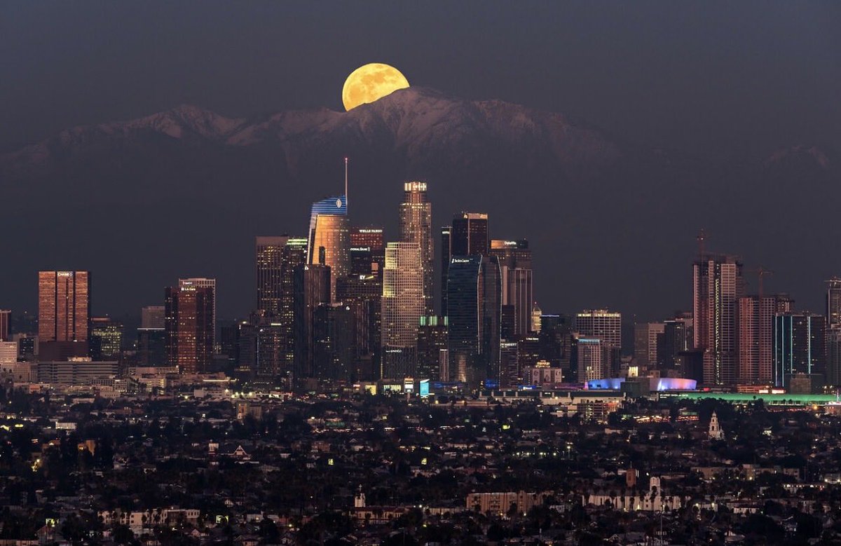 Brandon Yoshizawa tweet media