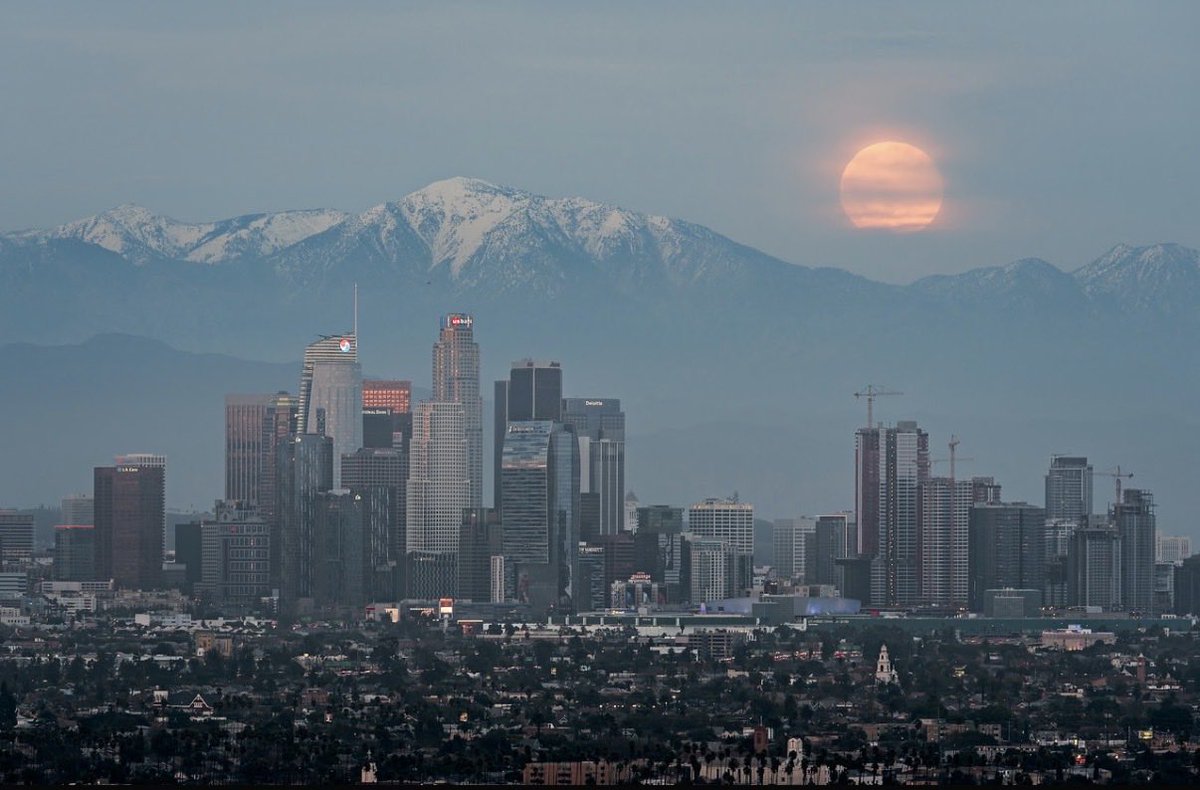 Brandon Yoshizawa tweet media