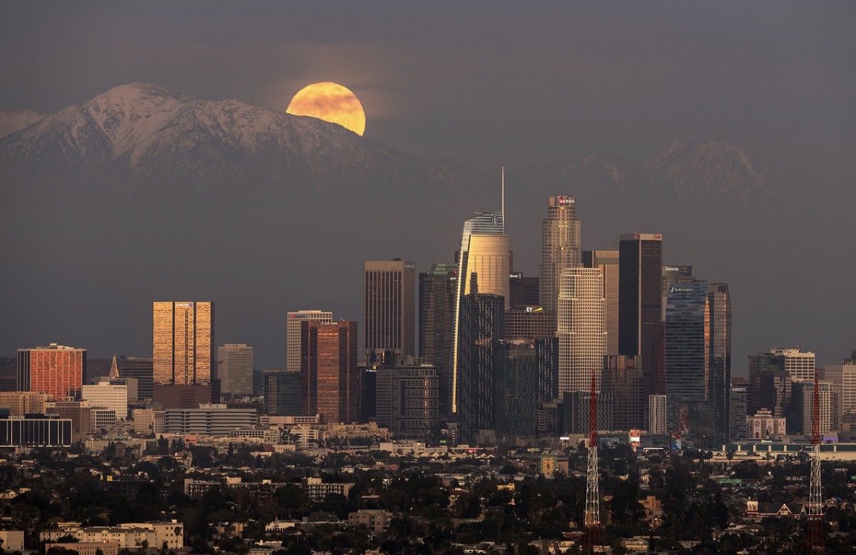 Brandon Yoshizawa tweet media