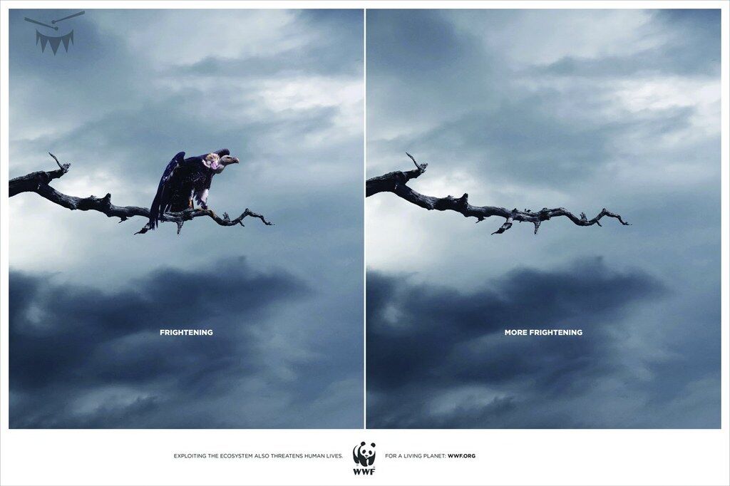 HenarAlonso's tweet photo. This is how strong brands are built. WWF has been saying the same thing for years in different ways: protecting nature matters. No need to reinvent their purpose for every single campaign, when they're expressing it consistently, creatively, and simply. Brilliant campaign! https://t.co/2LDB0tS8hh