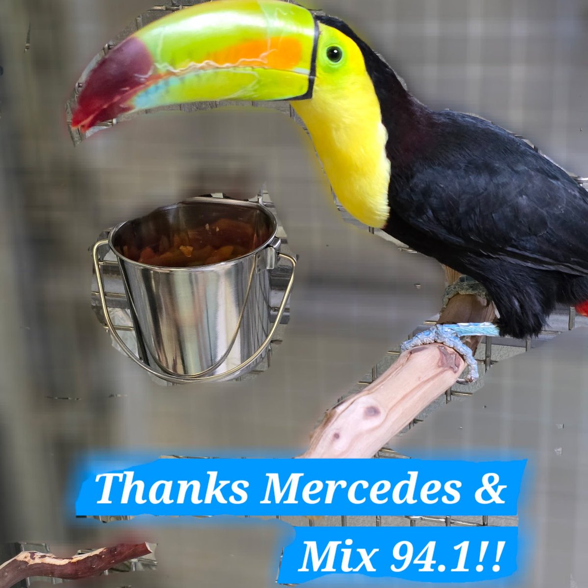 Mercedes in the Morning tweet media