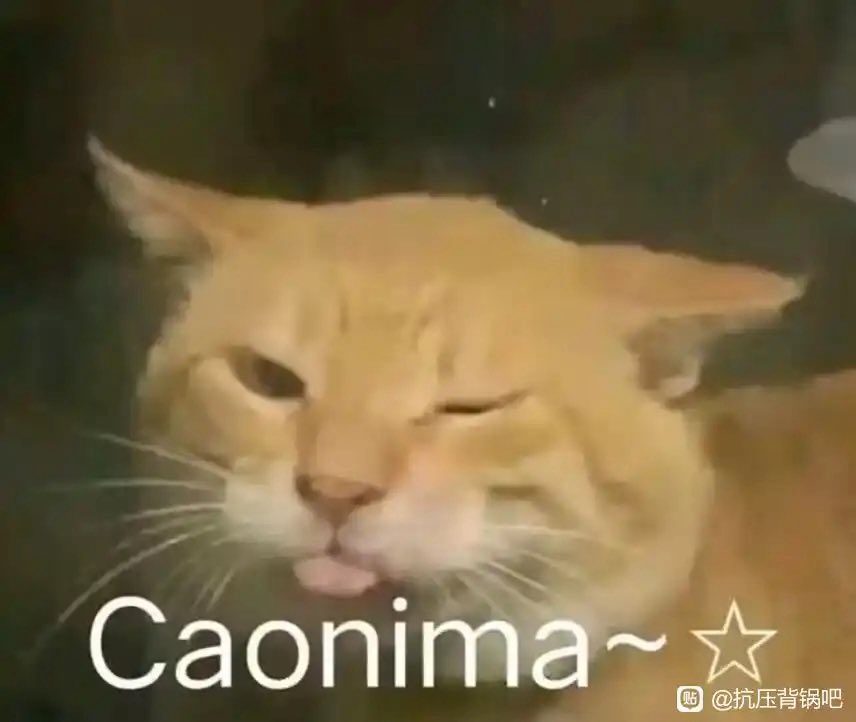 环形废墟 tweet media