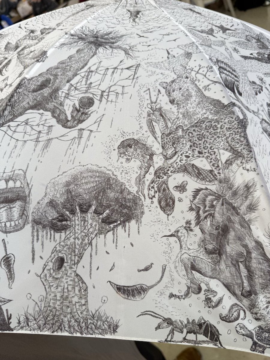 Striving Artists Program tweet media