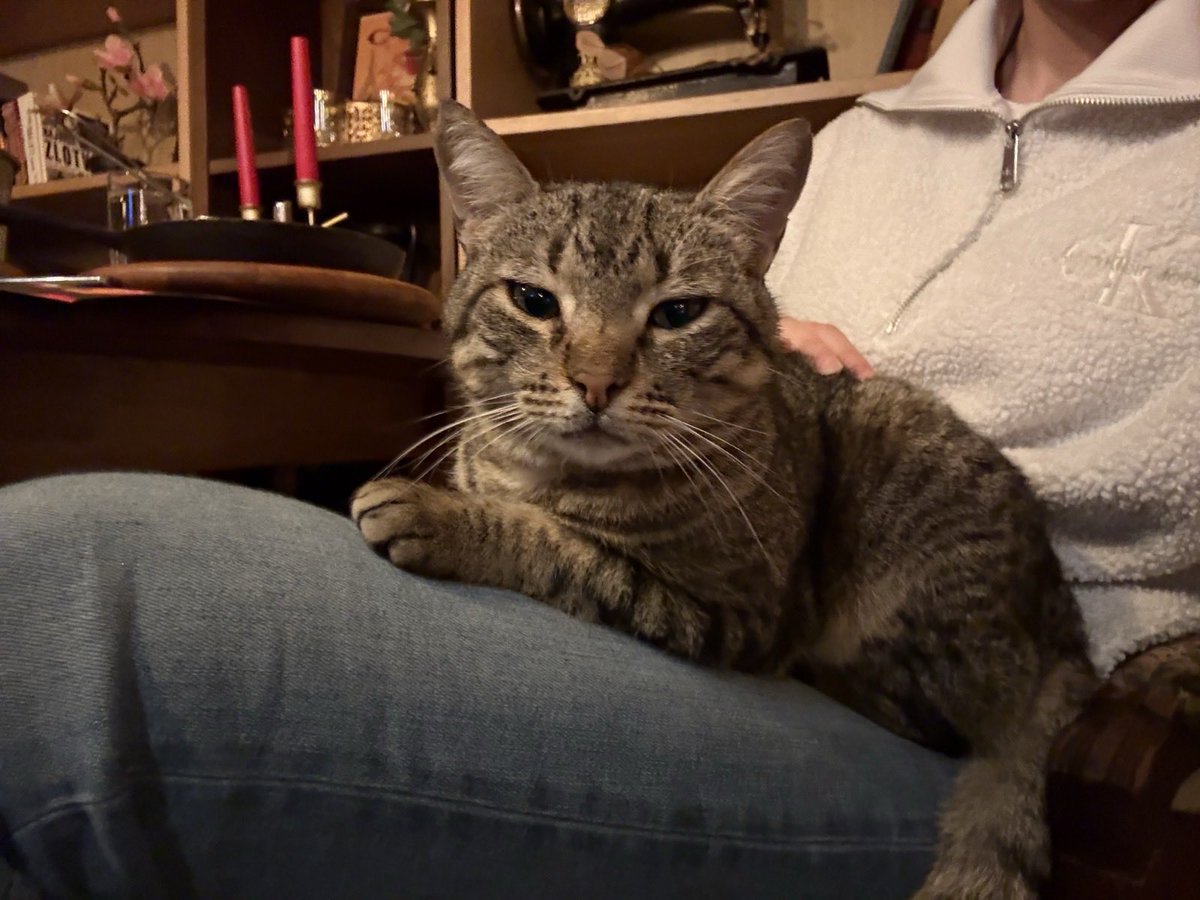 Aleksandar Petrović tweet media