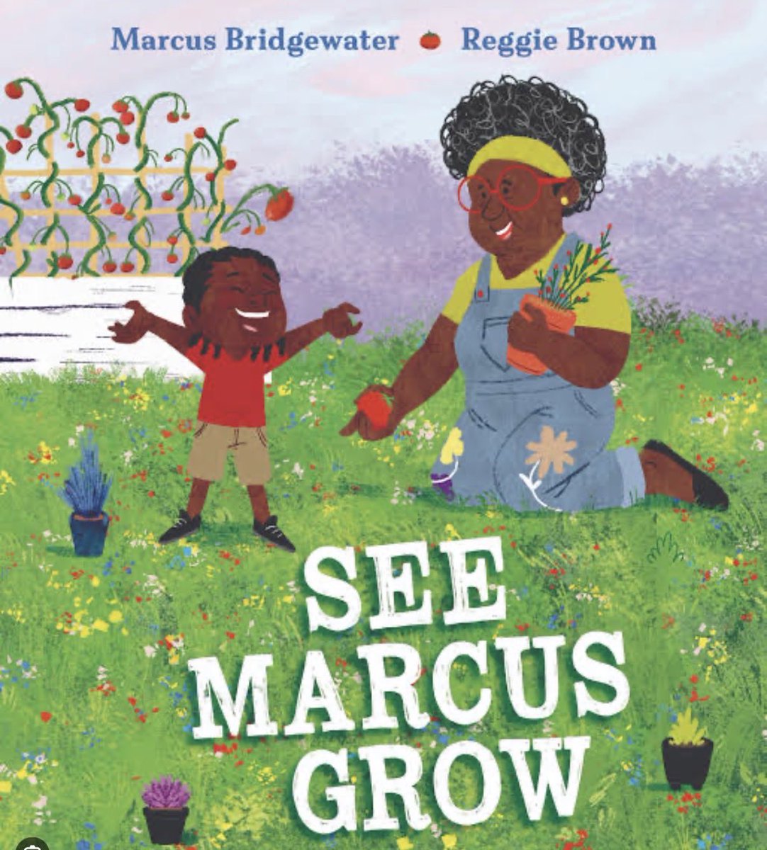 Denise Hanson tweet media