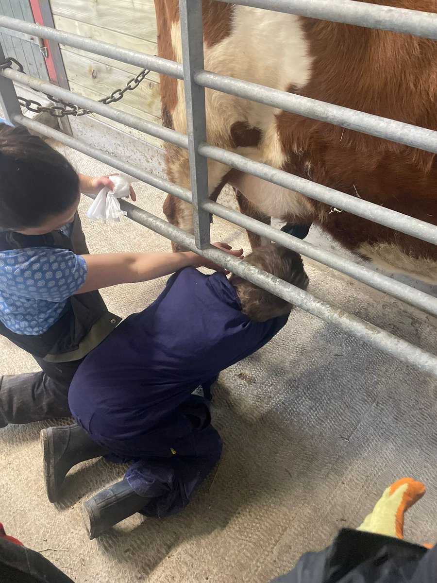 John Burns Primary tweet media