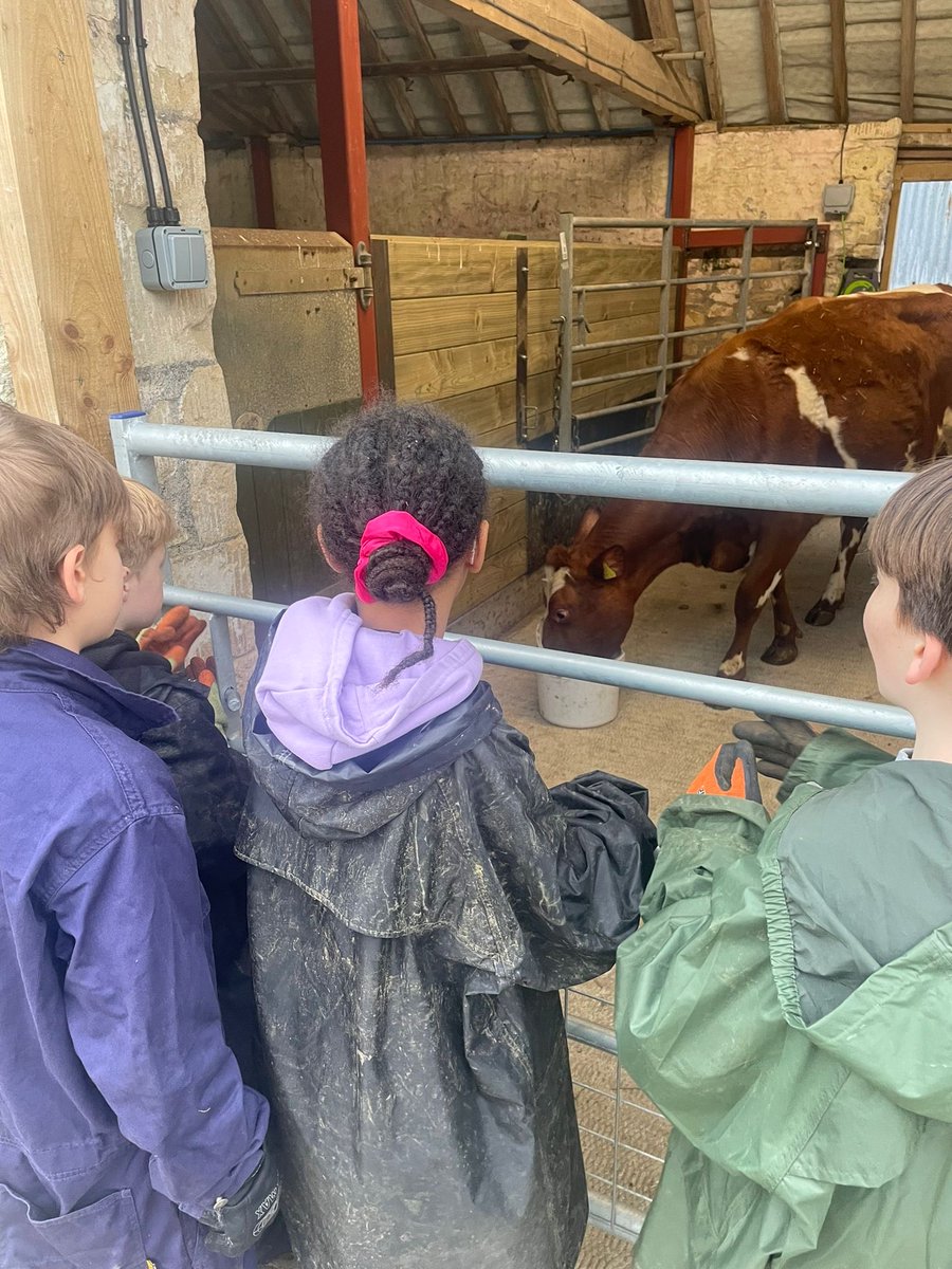 John Burns Primary tweet media