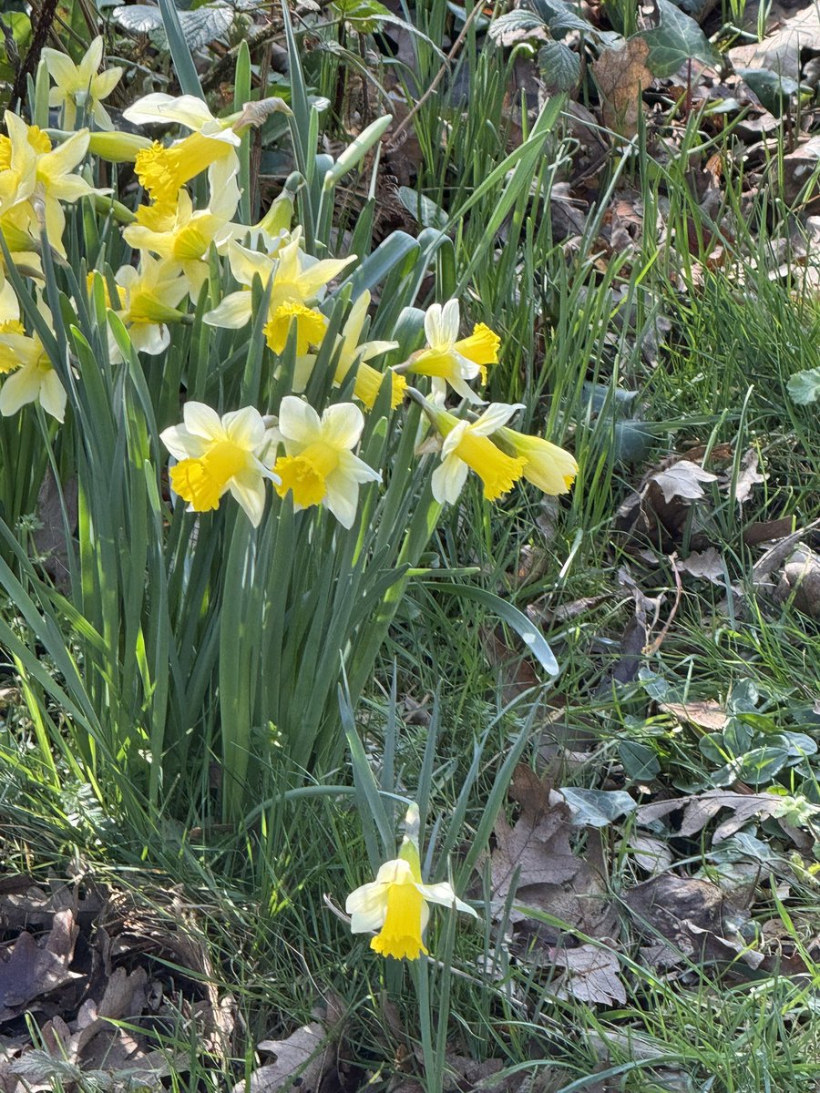 #SpringFever is on its way!