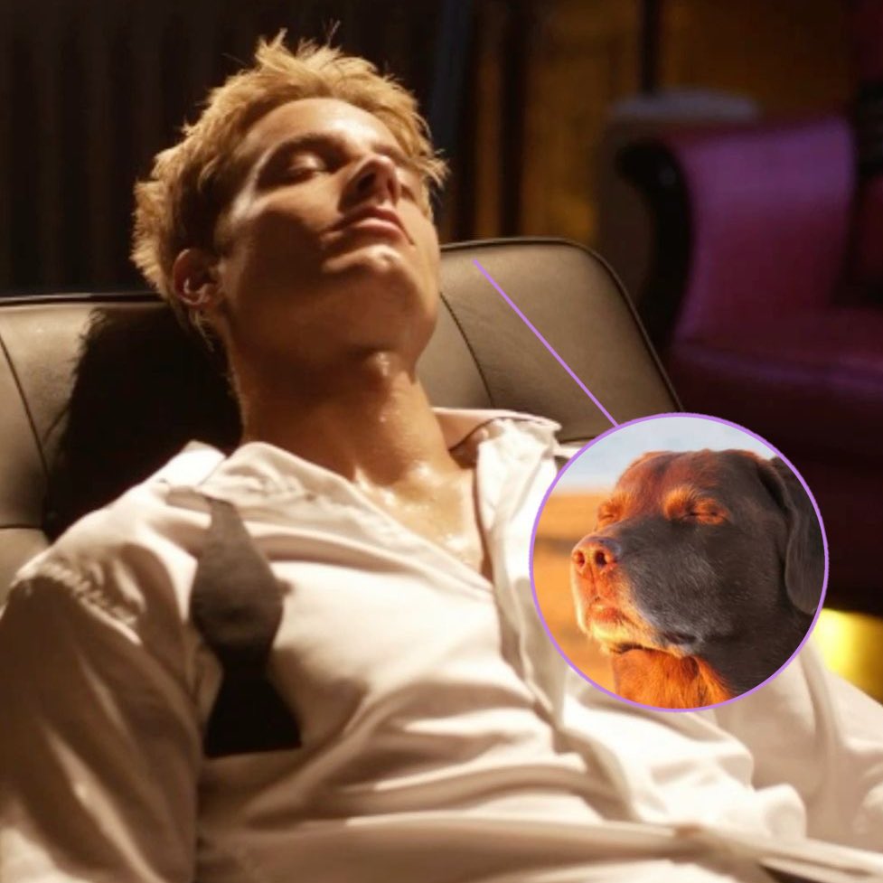 ᅟ ‍ ‍ ‍ ‍ ‍sha̲r̲p𝗦𝗛𝗢𝗢𝗧𝗘𝗥 ,ᅟ ‍ ‍ tweet media