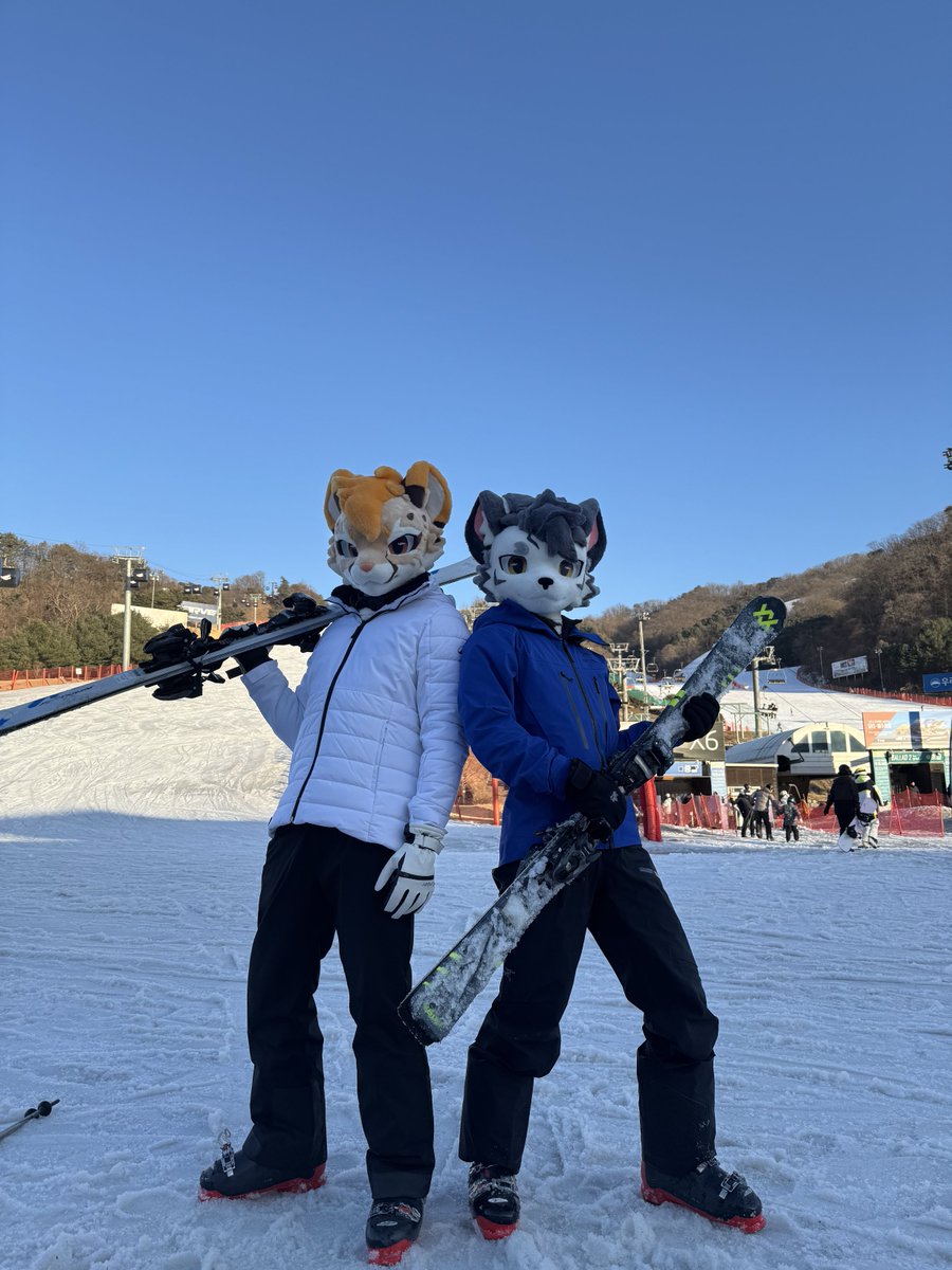 ⚡️CheetahPaws 獵豹爪⚡Thaitails - HiFurry tweet media